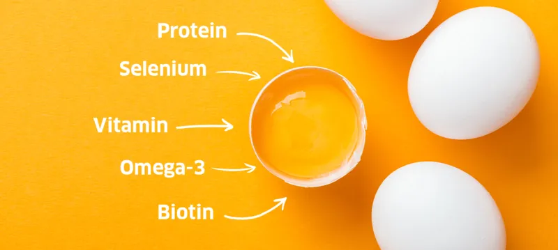Egg Uses and Benefits: Health Benefits & Nutrition Guide