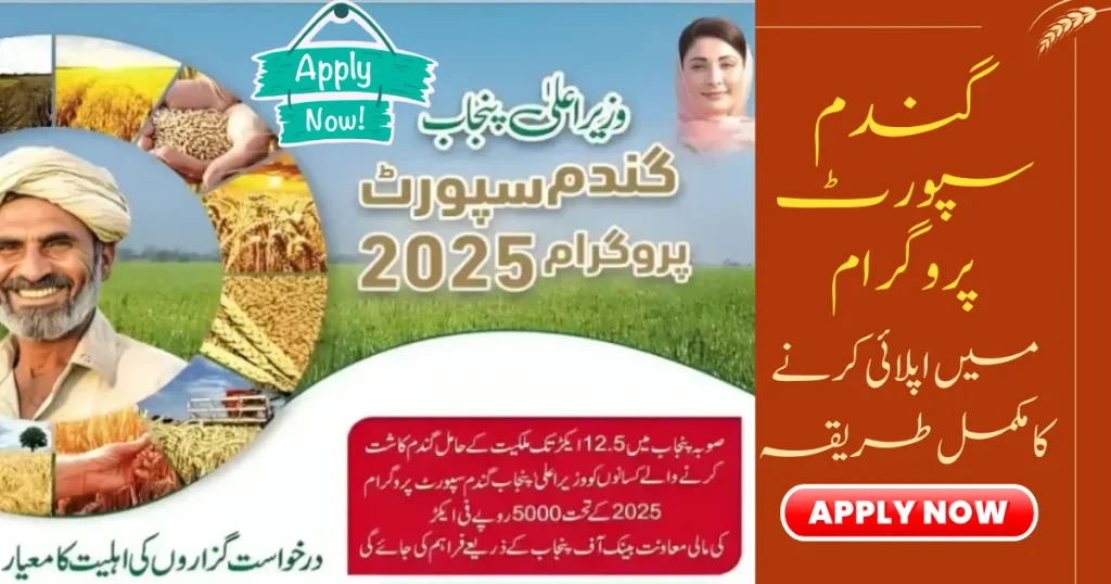 CM Punjab Wheat Support Program 2026 – Eligibility Benefits & Apply