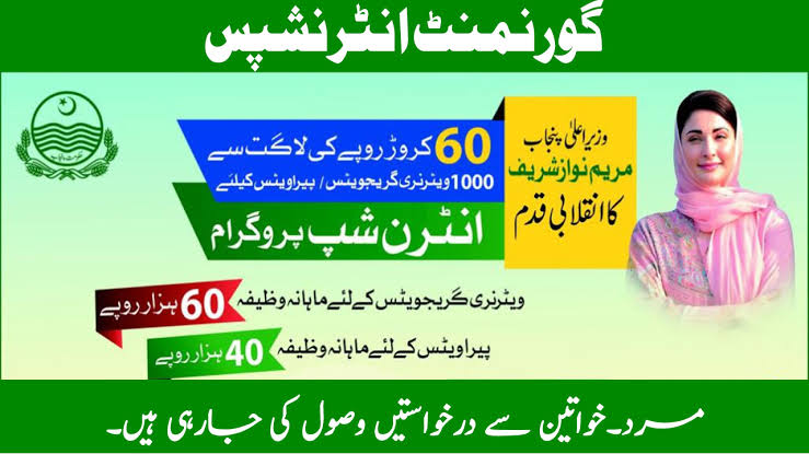 Chief Minister IT Internship Program – Eligibility & How to Apply