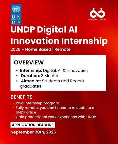 UNDP Digital AI Internship 2026 Home Based Paid